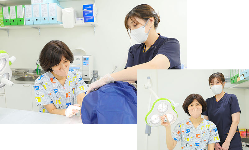 7年で1500症例以上の実績